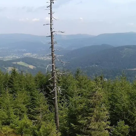 Apartamento Apartament W Górach