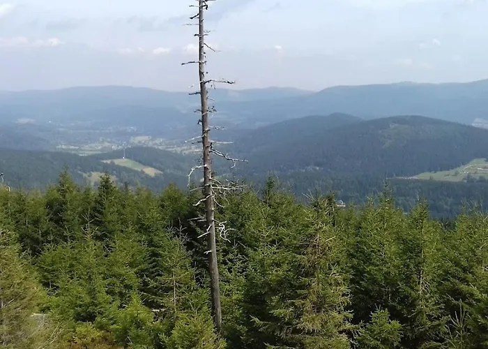 דירה Czarna Gora Apartament